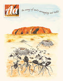 Children's Book - An All Australian Alphabet Book