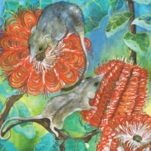 Gift Card - Honey Possums