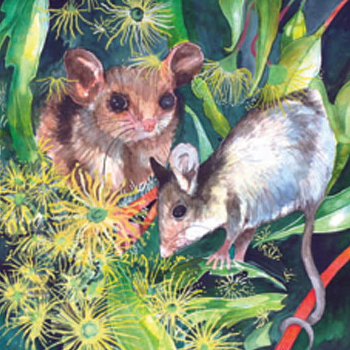 Gift Card - Blossom Possums