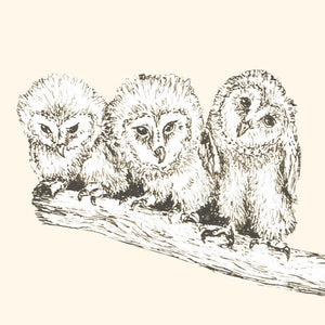 Gift Card - Little Owl