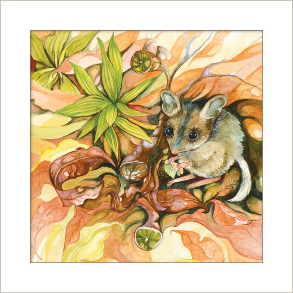 Greeting Card - Fat-tailed Dunnart