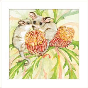Greeting Card - Pair of Pygmy Possums