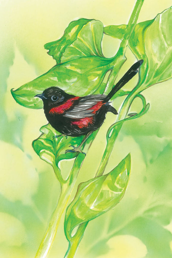 Greeting Card - Red-backed Fairy-wren