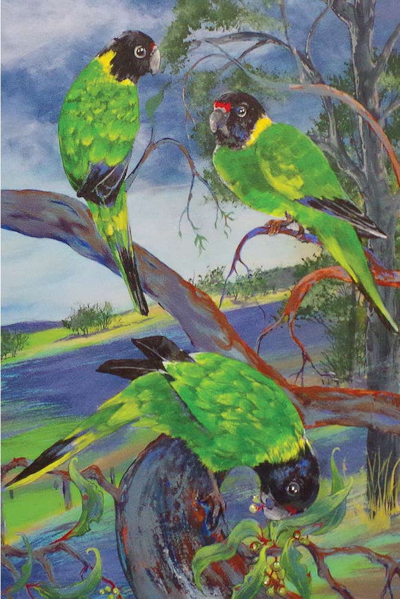 Greeting Card - Australian Ringneck Parrots
