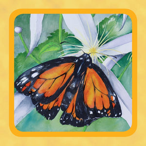 Square Tin - Monarch Butterfly