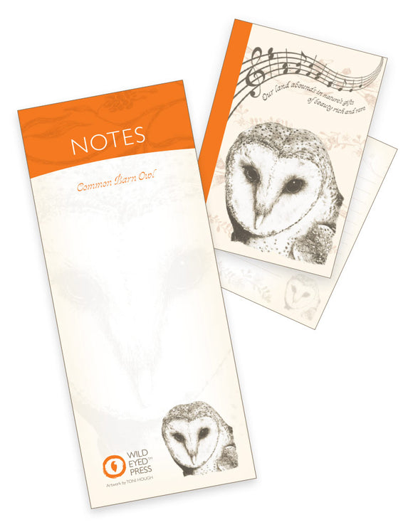 A7 Notebook / Pad - Common Barn Owl